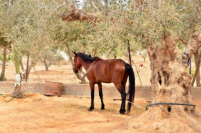 Ranch Tanit Djerba